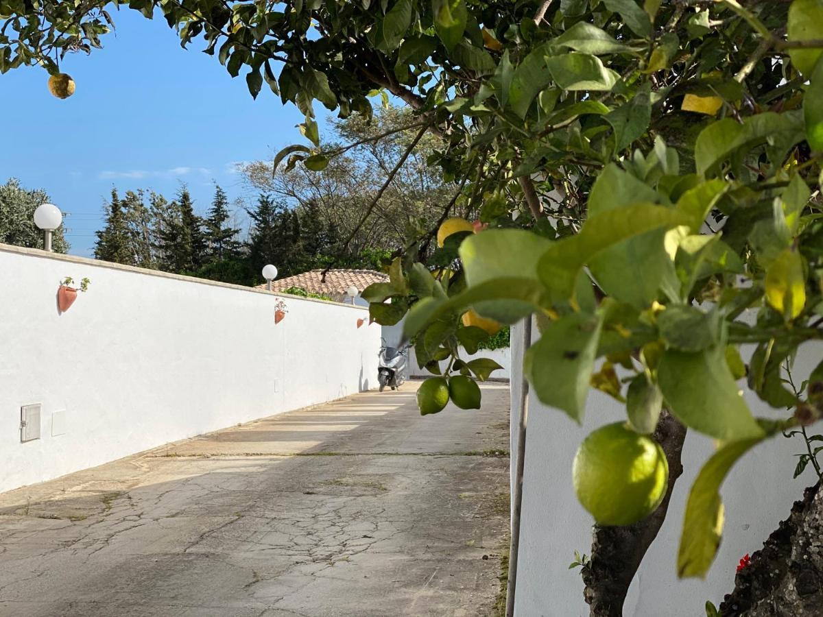 Vivienda Rural Atlantico Sur & Familias * Conil De La Frontera