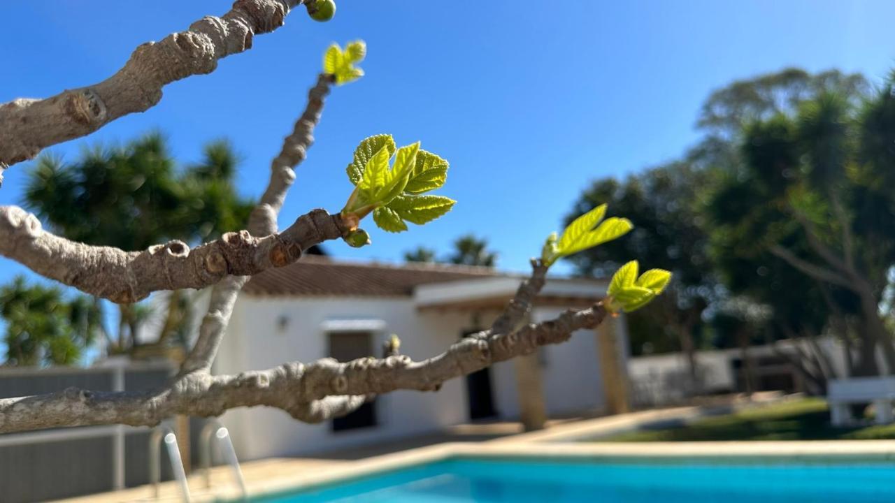 Vivienda Rural Atlantico Sur Casa rural Conil De La Frontera
